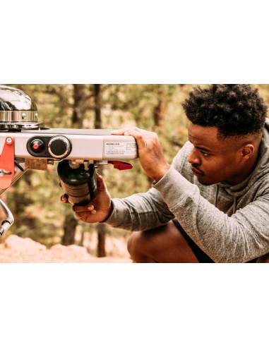 WEBER TRAVELER BARBECUE A GAS