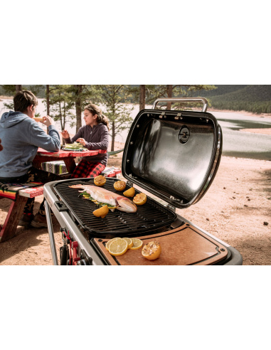 WEBER TRAVELER BARBECUE A GAS