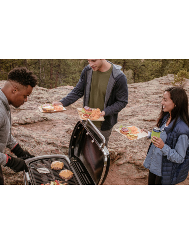 WEBER TRAVELER BARBECUE A GAS