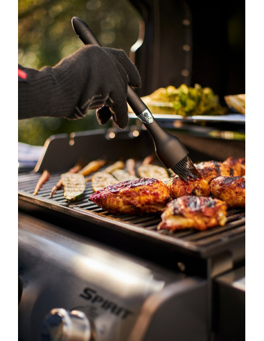 WEBER SPIRIT E-215 BARBECUE A GAS