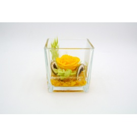 ARS NOVA CUBO FONDO PIETRA 10x10