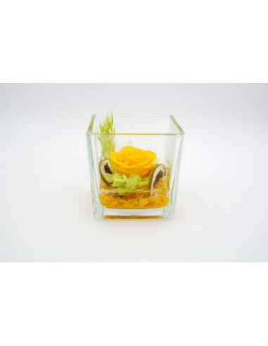 ARS NOVA CUBO FONDO PIETRA 10x10