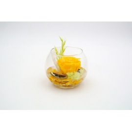 ARS NOVA BOCCIA FONDO PIETRA DIAM. 12