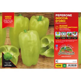 PEPERONE GIALLO H281