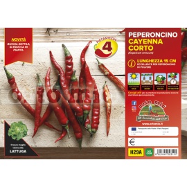 PEPERONCINO PICCANTE CAYENNA LUNGO 