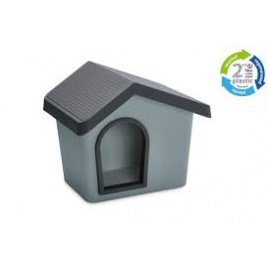 CUCCIA ZUES 50 SECOND LIFE 