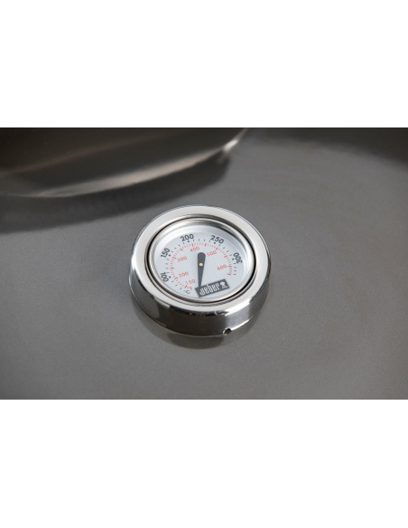 WEBER MASTERTOUCH GBS C-5750 Smoke Grey