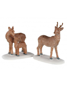 DEER FAMILY , SET OF 2