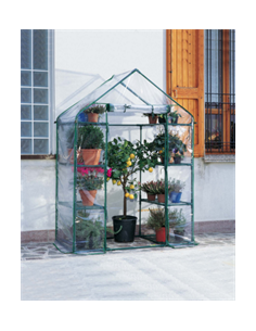 SERRA IBISCUS VERDEMAX 8...