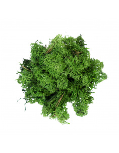 Muschio MYD51 500gr 2