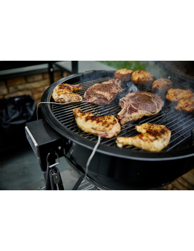 WEBER SUMMIT KAMADO E6