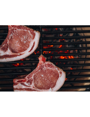 MONOLITH BASIC + OMAGGIO