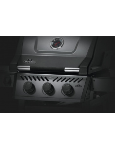 NAPOLEON FREESTYLE 365 GT 2