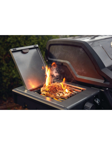 NAPOLEON FREESTYLE 365 SIB