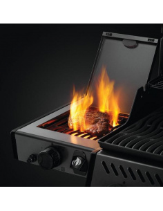 NAPOLEON FREESTYLE 365 SIB 2