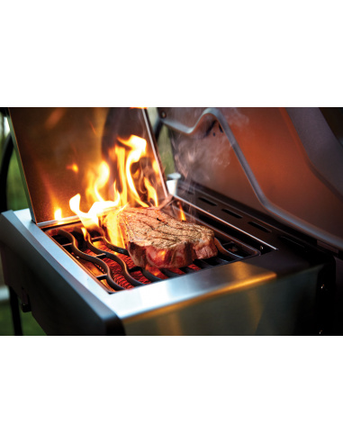 NAPOLEON FREESTYLE 365 SIB