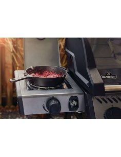 NAPOLEON FREESTYLE 365 SB 2