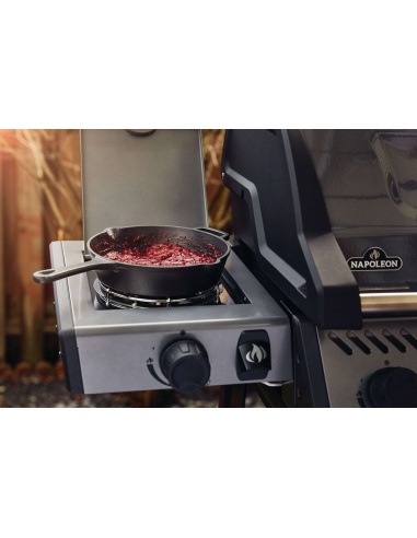 NAPOLEON FREESTYLE 425 SB