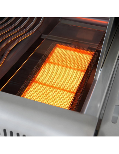 BARBECUE DA INCASSO NAPOLEON BILEX 605