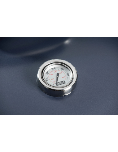 WEBER MASTERTOUCH GBS Slate Blue...