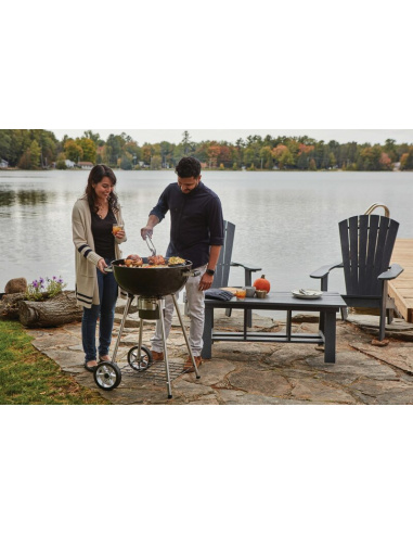 Barbecue a carbone NAPOLEON NK22 +...