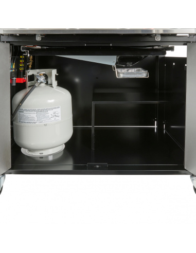 WEBER GENESIS E-435 WEBER GENESIS E-435