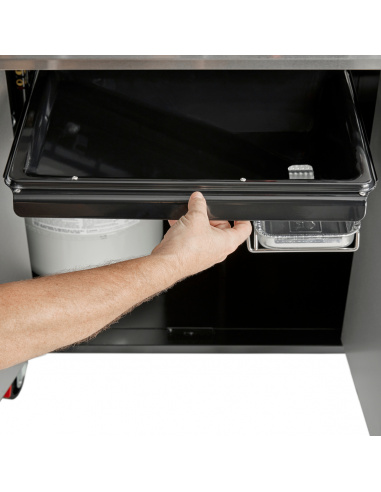 WEBER GENESIS EX-435 WEBER GENESIS EX-435