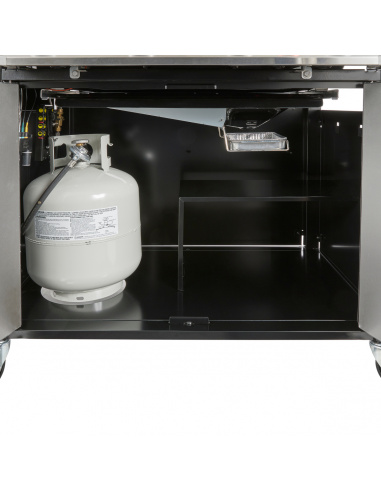 WEBER GENESIS EX-435 WEBER GENESIS EX-435