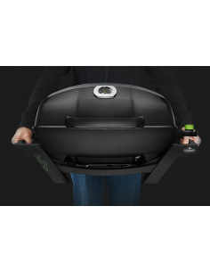 NAPOLEON TRAVELQ PRO285E 2