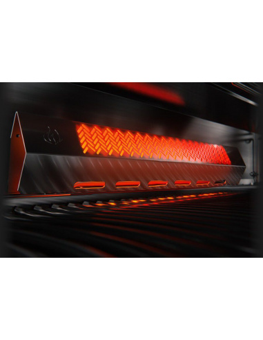 NAPOLEON ROGUE 425SE PHANTOM