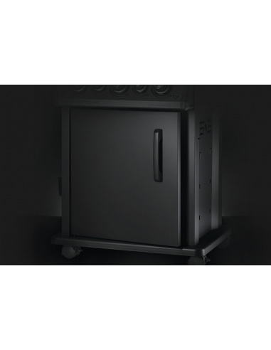 NAPOLEON ROGUE 425SE PHANTOM