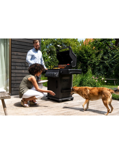 NAPOLEON ROGUE 425SE PHANTOM