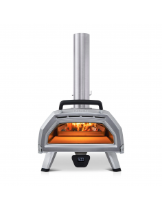 FORNO PIZZA A LEGNA/CARBONE...