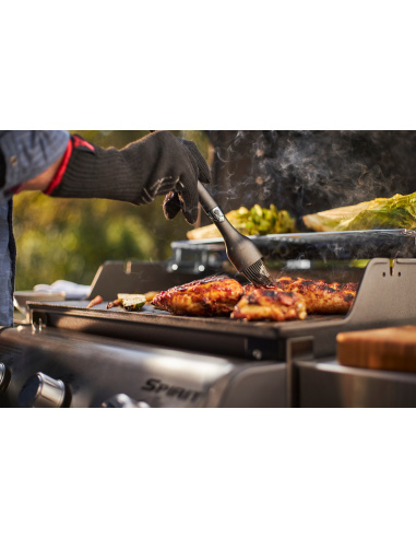 WEBER SPIRIT E-315 GBS