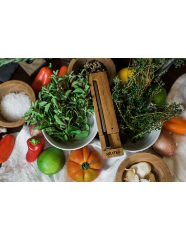 TERMOMETRO WIRELESS MEATER+