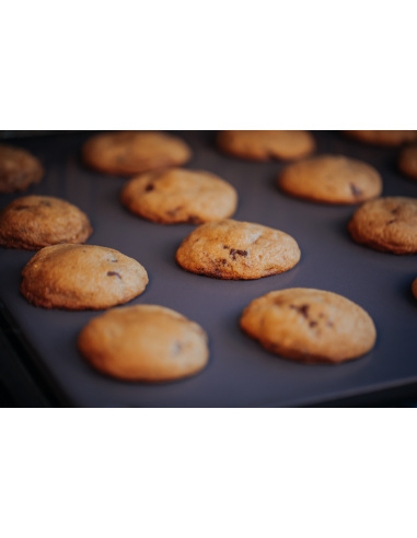 WEBER CRAFTED - PIETRA DA FORNO SMALTATA