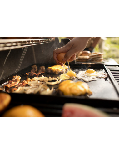 WEBER CRAFTED - PIASTRA GRANDE