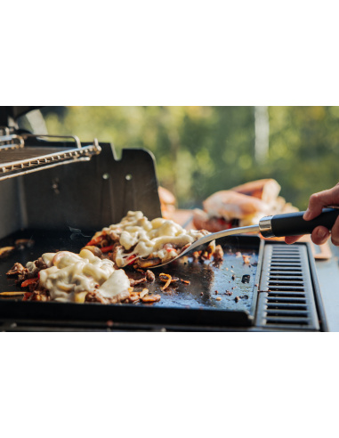 WEBER CRAFTED - PIASTRA GRANDE