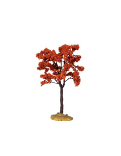 YELLOW WOOD TREE, MEDIUM