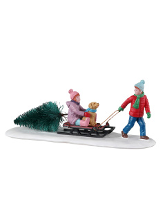 BRINGING HOME OUR TREE