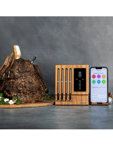 TERMOMETRO WIRELESS MEATER BLOCK