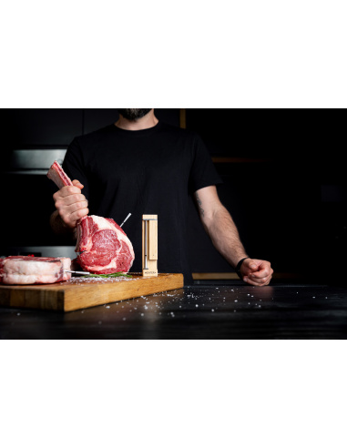 TERMOMETRO WIRELESS MEATER PRO...