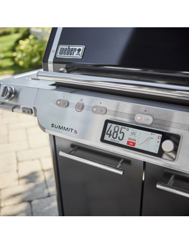 WEBER SUMMIT FS38X