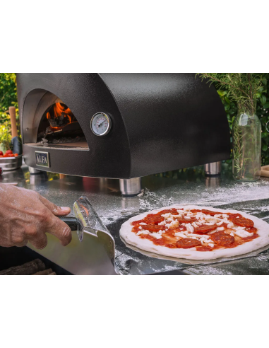 FORNO PIZZA ALFA MODERNO 1 PIZZA A...