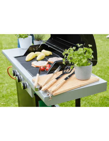 BARBECOOK SPRING 3112