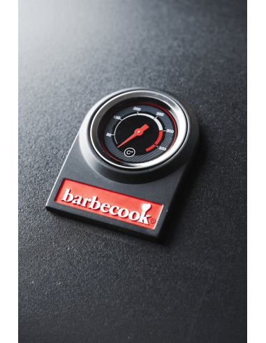 BARBECOOK SPRING 3112