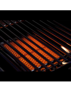 BARON 490 IR SHADOW 2