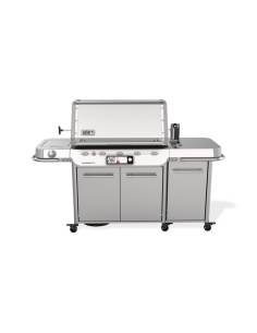 WEBER SUMMIT FS38X S