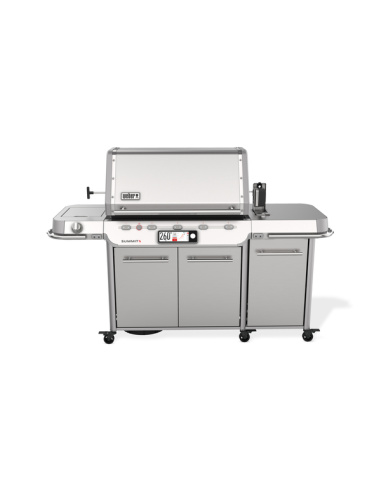 WEBER SUMMIT FS38X S