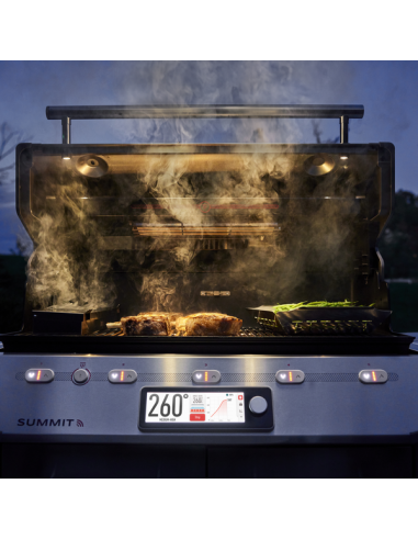 WEBER SUMMIT FS38X S